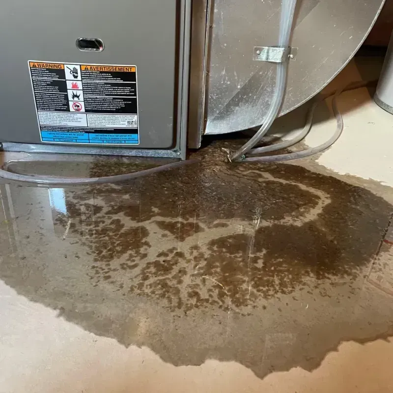 Appliance Leak Cleanup in Edgewater, FL